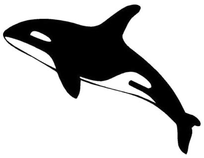 Killer whale PNG