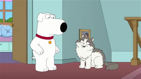 Family Guy Season 19 Episode 19 – Family Cat | Watch cartoons online, Watch anime online ...