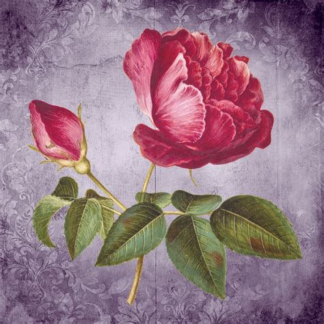 Vintage Floral Rose Art Free Stock Photo - Public Domain Pictures