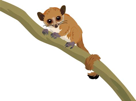 Lemur Clipart Transparent - Lemur Cartoon Transparent Background - Clip ...