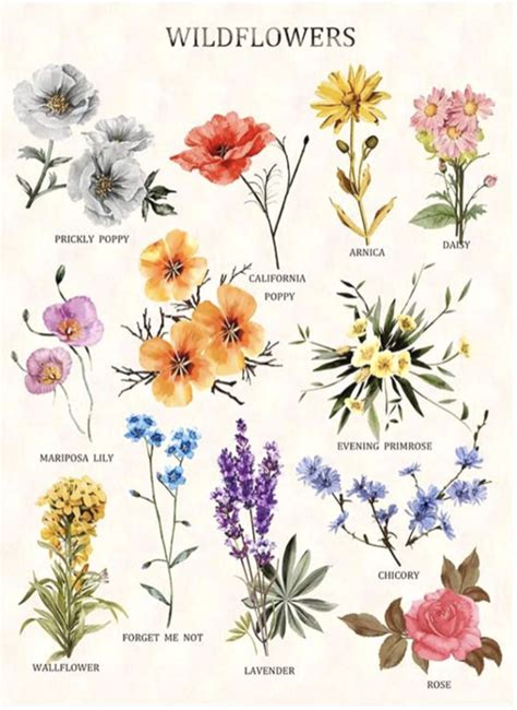 Flower Meanings Chart, Flower Chart, Flower Tattoo Meanings, Flower ...