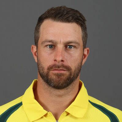 Matthew Wade Cricket Stats, News, Age, Batting Average, Bowling Average | Wisden