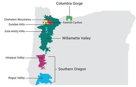 Everything You Need to Know About Oregon Wines | Total Wine & More