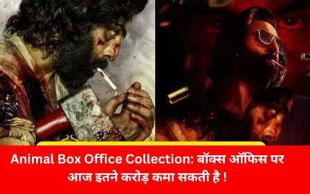 Animal Box Office Collection Day 17: Can Earn So Many crores at the box office today!