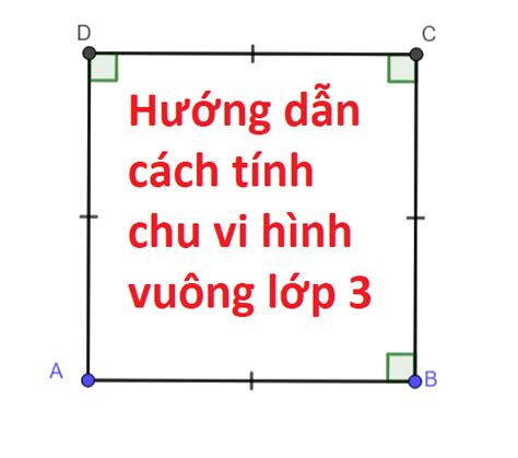 Hướng dẫn cách tính chu vi hình vuông lớp 3 - ReviewEdu