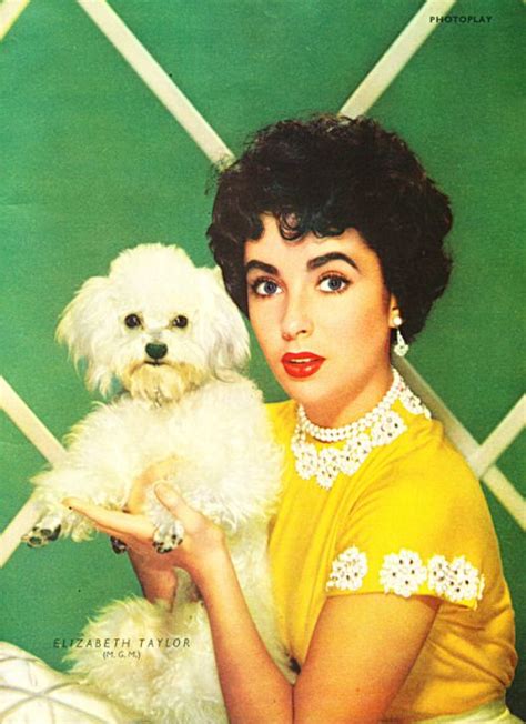 a woman holding a small white dog in her hands and wearing a yellow dress with laces