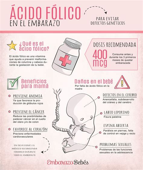 ÁCIDO FÓLICO EN EL #EMBARAZO | Medicine student, Nursing notes, Medical ...