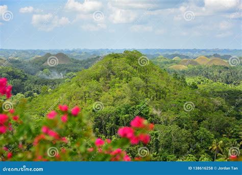 The Chocolate Hills Geological Formation in Philippines Stock Photo - Image of attraction, bohol ...