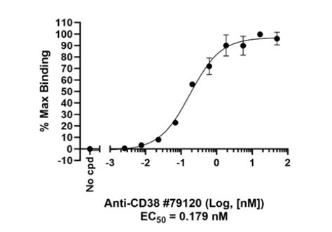 Anti-CD38 Antibody