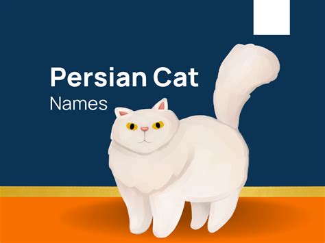 1140+ Persian Cat Names For Your Precious Purrball! (+Generator)