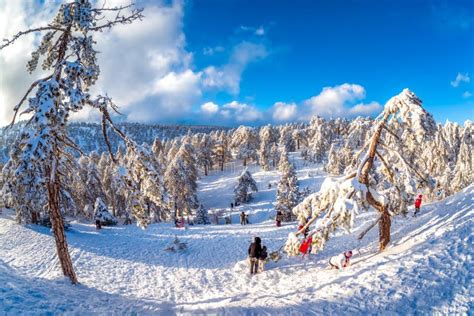 TROODOS, CYPRUS - January 02, 2018: Winter Scene at Snow-coveder Troodos Mountain Top Editorial ...