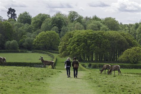 Walking - Windsor Great Park