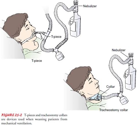 Oxygen Therapy - Noninvasive Respiratory Therapies