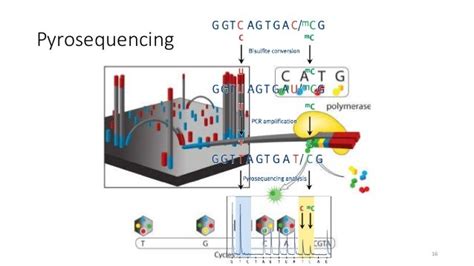 Luciferase application in environmental biotechnology