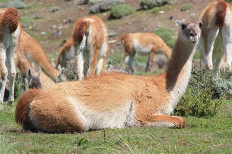 W Trek Patagonia: Chile Hiking Tour - BikeHike Adventures