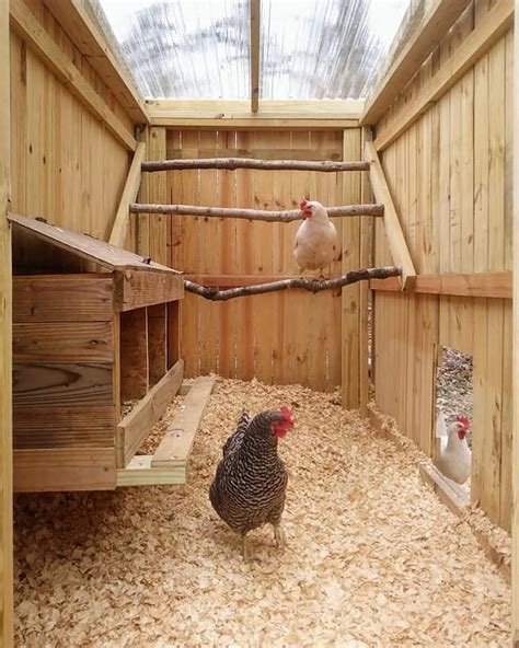 Flora Luna Farm ~ Inside chicken coop | BackYard Chickens - Learn How to Raise Chickens