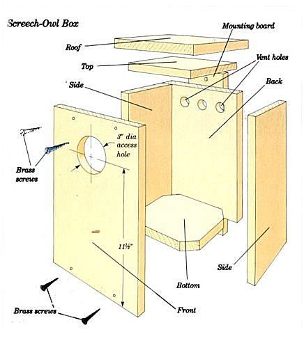 nick: Birdhouse plans for owls