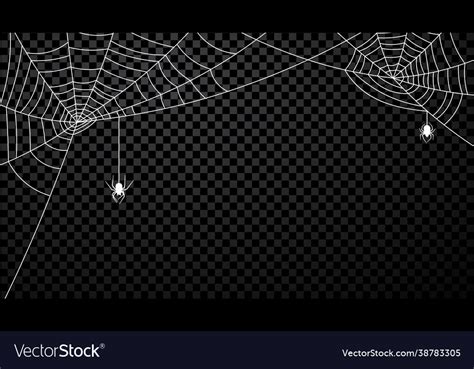 White spiderweb with spiders on transparent Vector Image