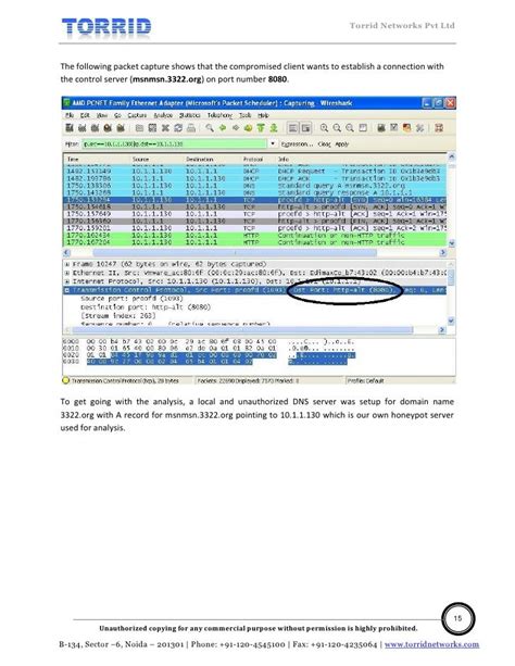 Malware Analysis Report