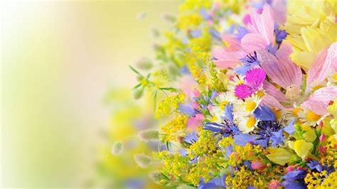 Summer Flowers Wallpaper Desktop - Summer Flowers Wallpaper Free Stock ...