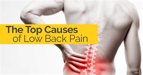 The Top Causes of Low Back Pain | Tulsa Chiropactor - Schluter Chiropractic