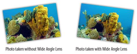 Wide Angle Lens Comparison | Scuba World, Inc.