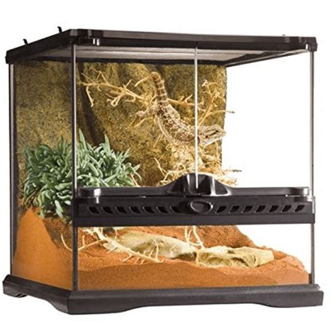 Tarantula Habitat: 20+ Awesome Tarantula Enclosures To Inspire You (IMAGES) - Tarantula Heaven ...