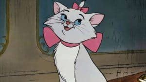 Disney Cat Names - 29 Unforgettable Characters [165+ Name Ideas!]