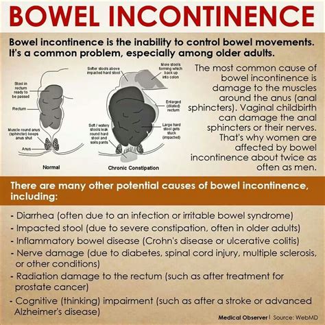 Bowel Incontinence Nursing School Tips, Nursing Career, Nursing Study, Adult Incontinence ...