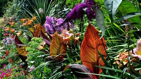 5 Secrets To Creating Spectacular Tropical Gardening Designs - JimsMowing.com.au