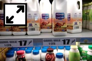 Camel Milk and Dairy Products in UAE - Guide for Tourists