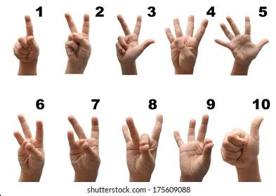 Sign Language Hands Images, Stock Photos & Vectors | Shutterstock