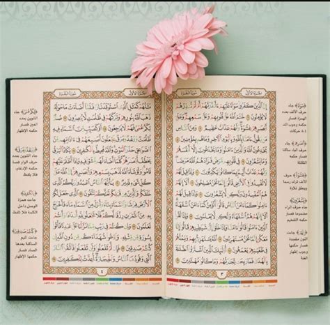 Merenungi Ayat Al-Qur'an Untuk Menjadi Penenang Hati