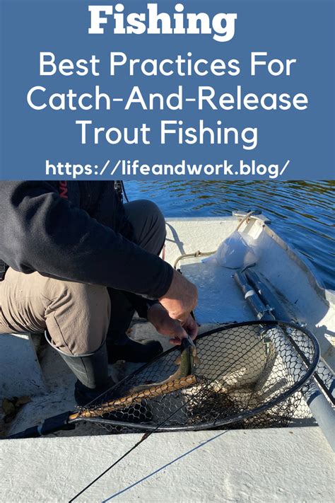 Best Practices For Catch-And-Release Trout