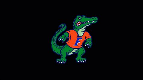 [100+] Florida Gators Wallpapers | Wallpapers.com