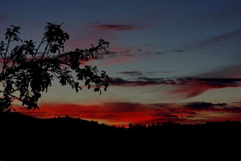 Free picture: sunset, silhouette, landscape, dawn, tree, sky, sun ...