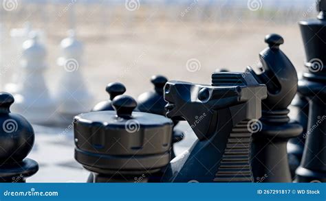 Black Chess Pieces Lined Up at the Start of a Game Stock Image - Image ...