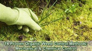 14 Proven Organic Weed Control Methods: Mechanical & Chemical Control