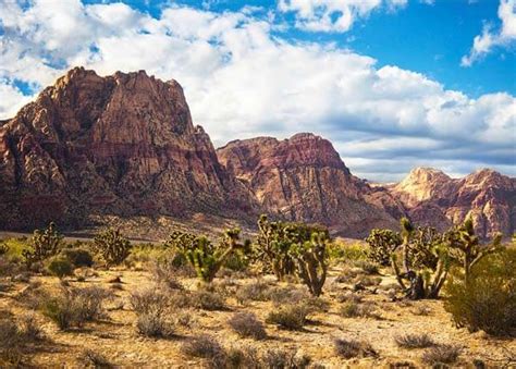 Hiking Near Las Vegas | Your Guide to Hiking Trails in Las Vegas