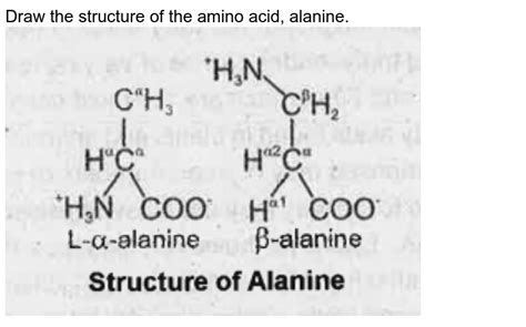 Alanine Amino Acid Structure