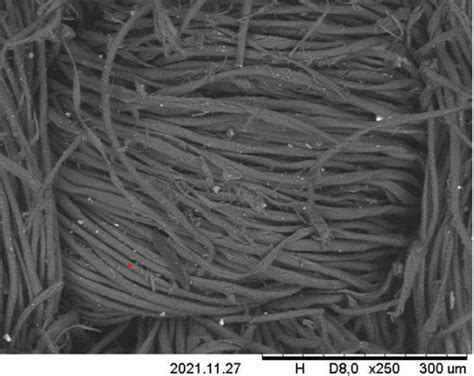 How is Electron Microscopy Used for Fiber and Textile Analysis?