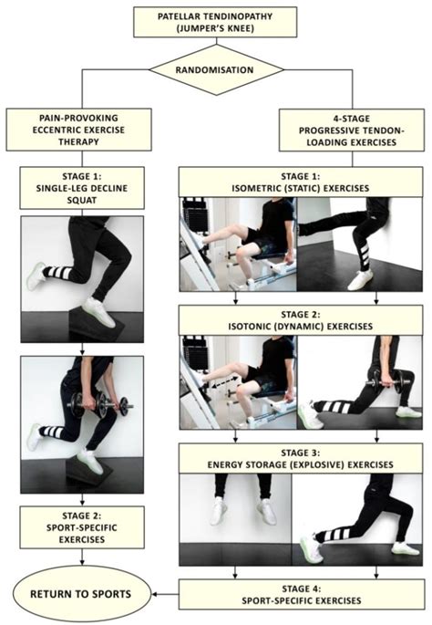 Progressive Tendon Loading Exercises for Patellar Tendinopathy | Article of The Week #24 ...