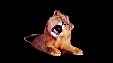 Leo The Lion Footage (1994) - YouTube