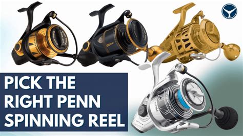 10 Best Penn Spinning Reels Ranked In Order