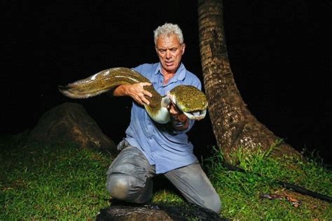 Man-Eaters And Monsters: The 15 Weirdest River Fish Ever Caught