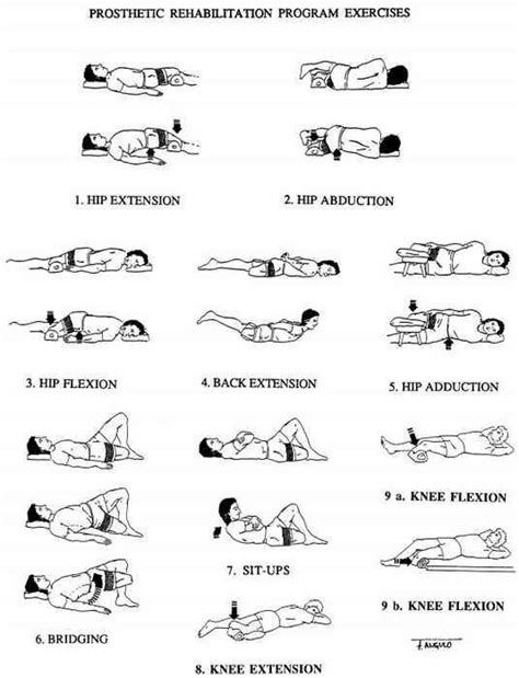 Physical therapy exercises, Physical therapy, Hip flexor