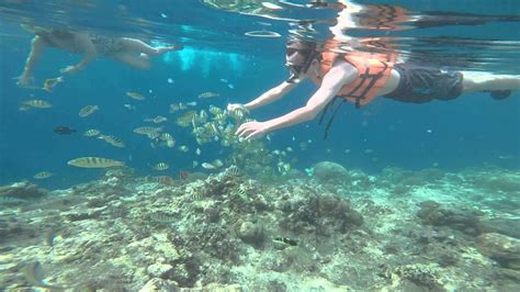 Top 10 Snorkel Places in the Philippines - Out of Town Blog