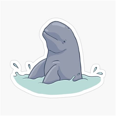 Irrawaddy dolphin by Nicole Strating | Redbubble | Sticker collection ...