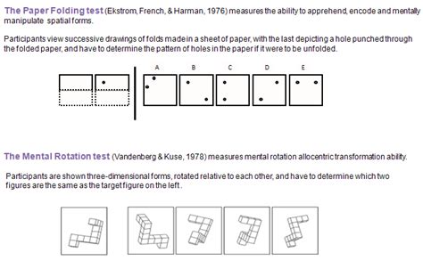 Object-Spatial Dissociation in Individual Differences in Visual Imagery