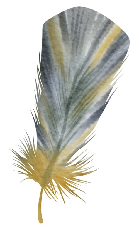 Feather watercolor hand paint 13179259 PNG